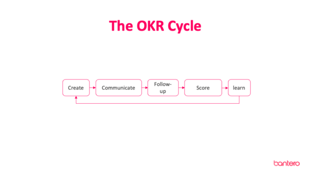 The OKR cycle - image shows the different steps of working with OKRs.